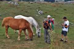 DSC0065-2