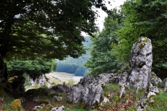 DSC0073-2