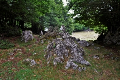 DSC0074-2