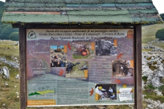 DSC0084-2