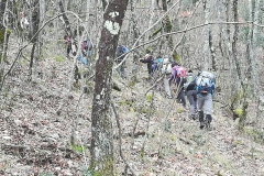 IMG_20180304_132540