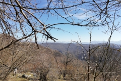 IMG_20190323_110803
