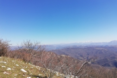 IMG_20190323_115951