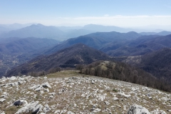 IMG_20190323_122223