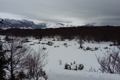 20190120_155814