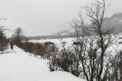 IMG_20190120_153550