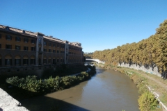 PA115862