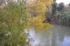 PA115894