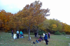 IMG-20151102-WA0000