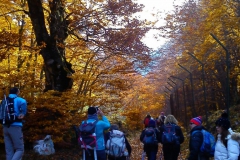 IMG-20151102-WA0008