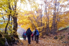 IMG-20151102-WA0010