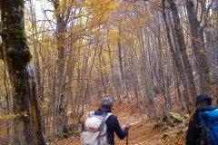 IMG-20151102-WA0015