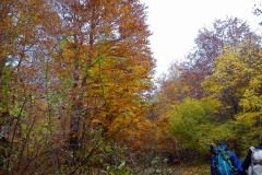 IMG-20151102-WA0017