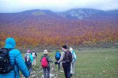 IMG-20151102-WA0018