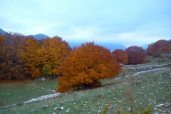 IMG-20151102-WA0019
