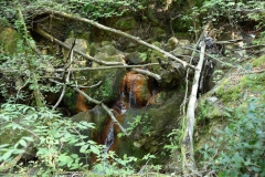DSC_2005