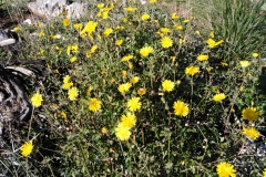 IMG_20230114_104244
