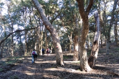IMG_20230114_111751