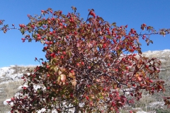 IMG_20191020_120903