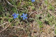IMG-20230509-WA0003