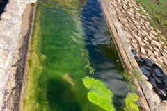 IMG-20230509-WA00071