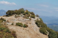 IMG-20211004-WA0000