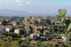 IMG-20211004-WA0003