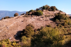 IMG-20211004-WA0007