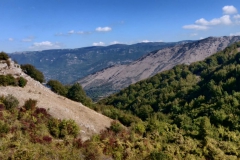 IMG-20211004-WA0015