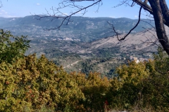 IMG-20211004-WA0016