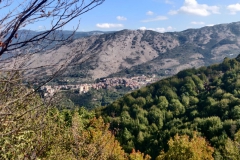 IMG-20211004-WA0020