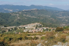 IMG-20211004-WA0037