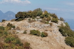 IMG-20211004-WA0040