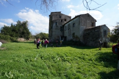 DSC01695