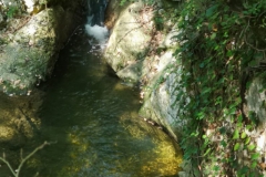 IMG-20180930-WA0004