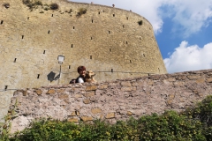 IMG-20180930-WA0006