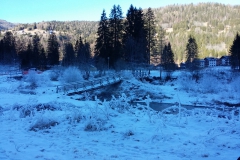 20170123_110046