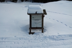 20190224_140202