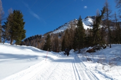 20190224_150026