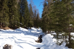 20190225_105445