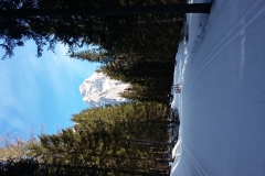 20190225_115538
