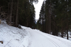20190226_113038