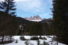 20190226_114030