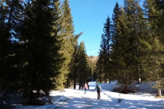20190227_102721