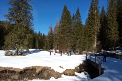 20190227_103243