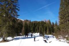 20190227_103511