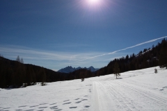 20190227_110519