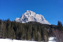 20190227_124043