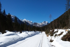 20190228_113417