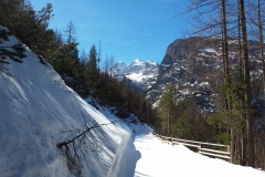 20190228_123647